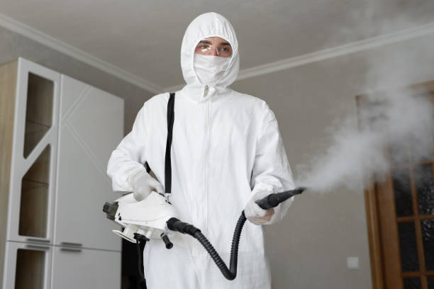 Fairport Harbor, OH Mold Removal Company